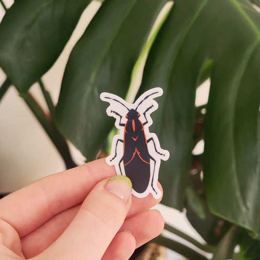 Box Elder Bug Sticker