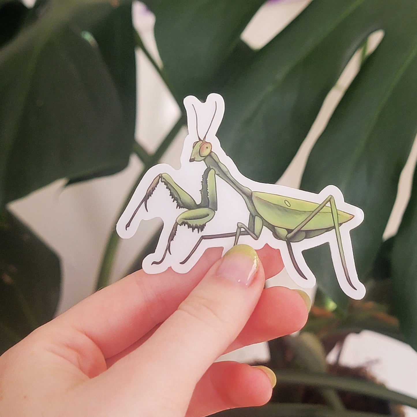 Prey Mantis Sticker