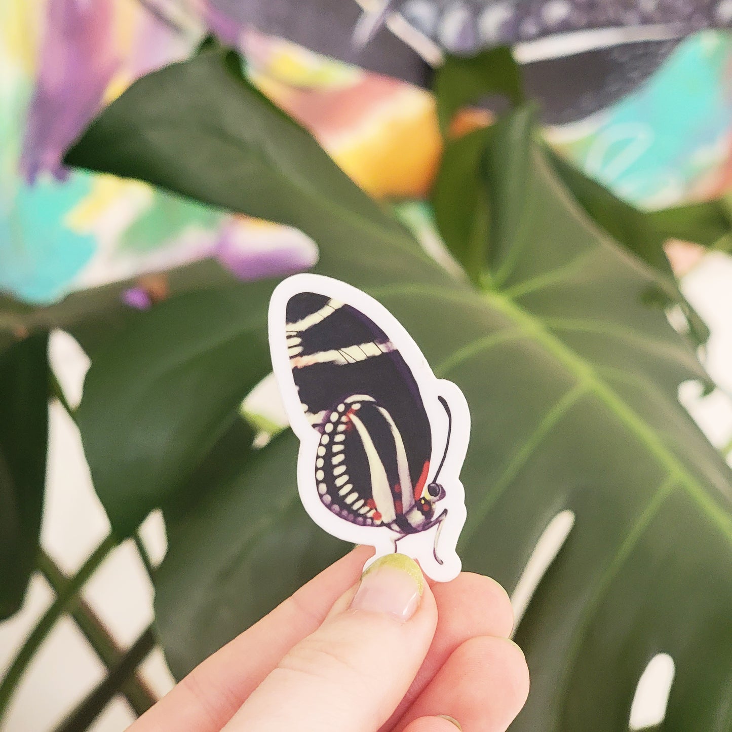 Zebra Heliconian Butterfly Sticker