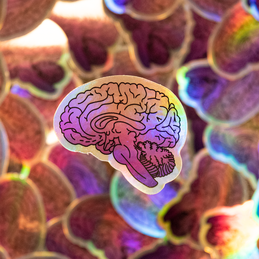 Holographic Brain Sticker