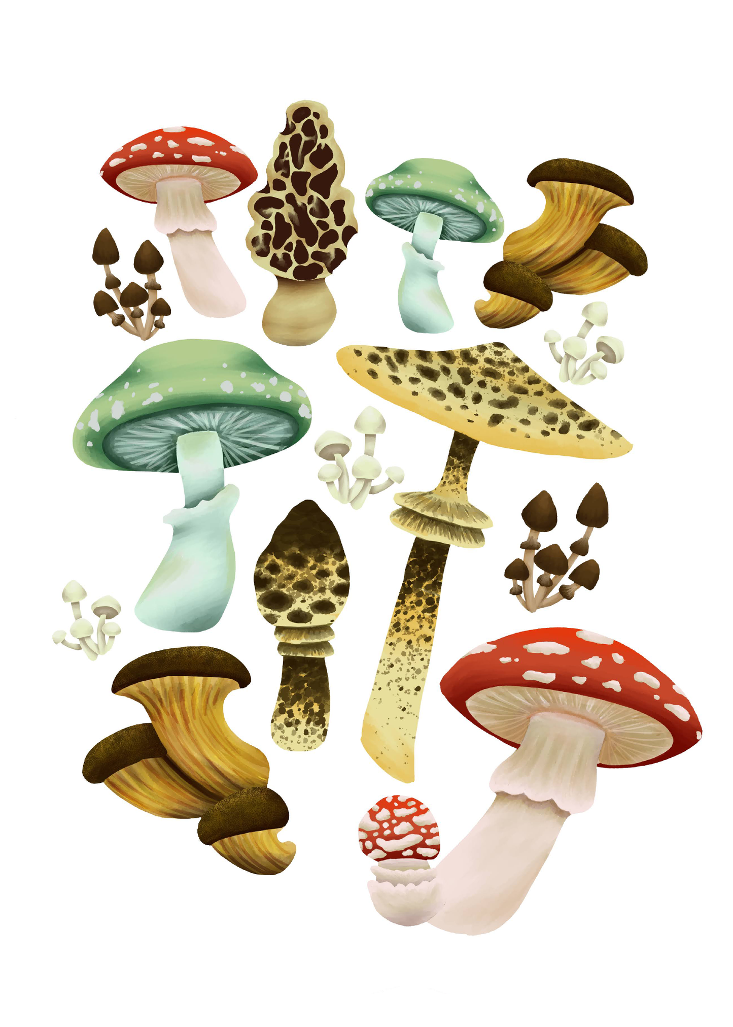 Mushrooms Print